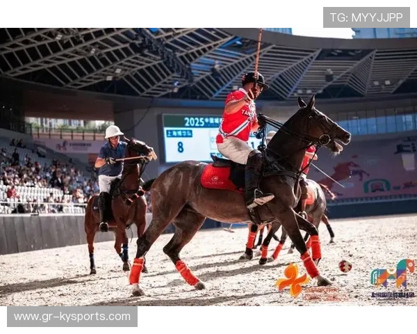 伊朗马术协会建立马匹基因数据库，促进马匹选育与训练。，伊朗马球